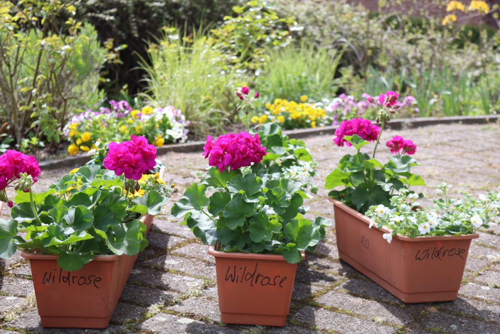 Mein Balkon, mein Garten